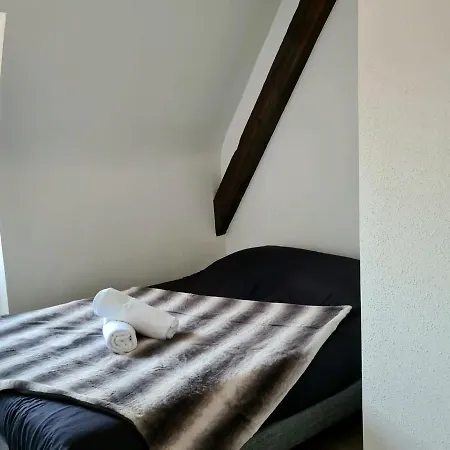 Auberge Syra/ Proche Europa Park Marckolsheim Buitenkant foto
